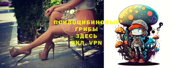 spice Балахна