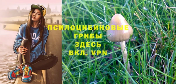 spice Балахна